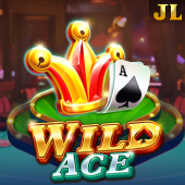 Wild Ace on ldplayer 9